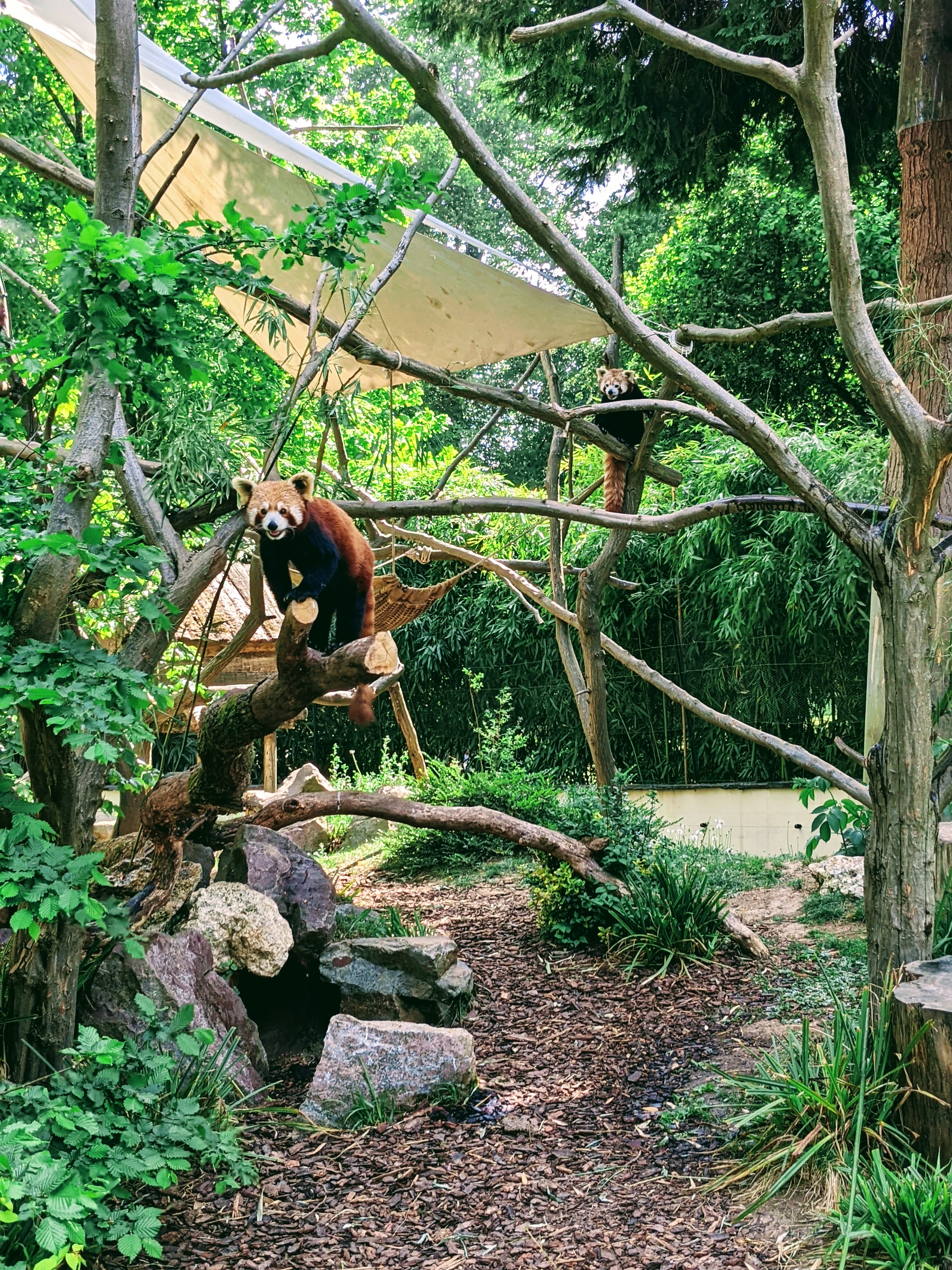 Photo n° 4 de l'avis de Marie.h fait le 27/01/2023 à 20:54