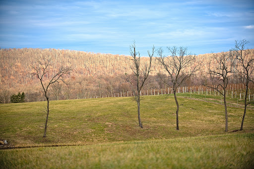 Winery «Maggie Malick Wine Caves», reviews and photos, 12138 Harpers Ferry Rd, Purcellville, VA 20132, USA