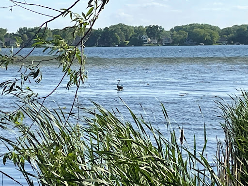 Park «East Medicine Lake Park», reviews and photos, 1740 E Medicine Lake Blvd, Plymouth, MN 55441, USA