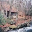 Kumbrabow State Forest