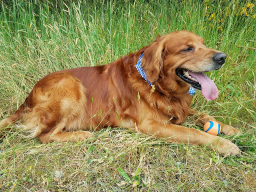 Pet Supply Store «Mini Pet Mart», reviews and photos, 815 S Broadway, Coos Bay, OR 97420, USA