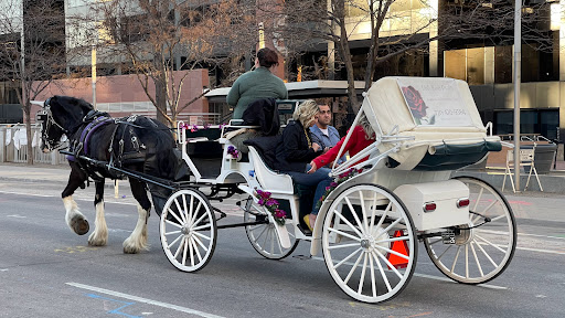 Shopping Mall «16th Street Mall», reviews and photos, 1001 16th St, Denver, CO 80265, USA