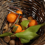 Photo n°2 de l'avis de Paolo.l fait le 12/02/2022 à 23:10 sur le  La Taberna Federiciana - Cucina tipica e Braceria à Torremaggiore