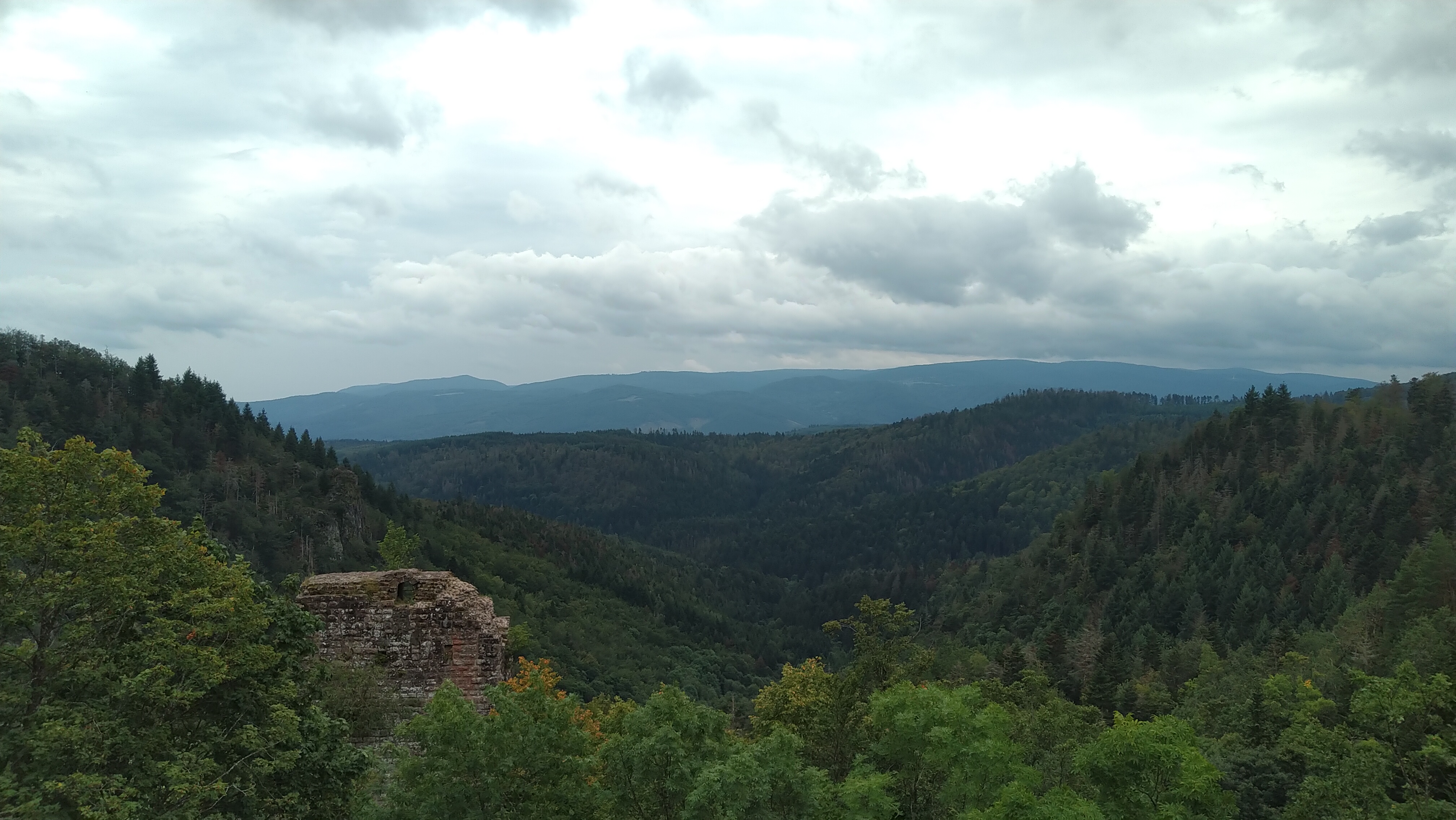 Photo n° 6 de l'avis de ATY.� fait le 10/09/2021 à 15:32