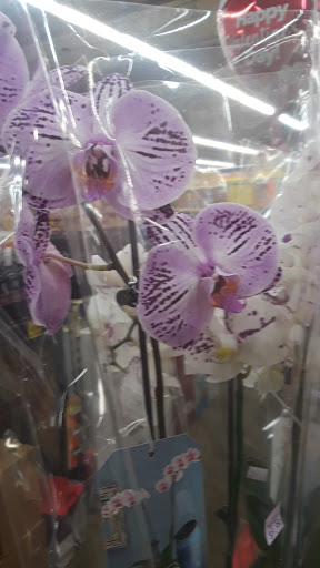 Grocery Store «Grocery Outlet Bargain Market», reviews and photos, 299 D St NE, Salem, OR 97301, USA