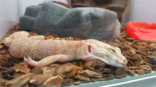 Pet Supply Store «Pet Supermarket», reviews and photos, 13420 Preston Rd, Dallas, TX 75240, USA