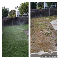 Viveros Landscaping - Photo 3 - Car repair in , Oxnard