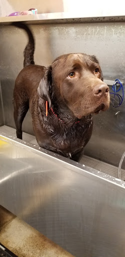 Pet Supply Store «Lemos Feed & Pet Supply», reviews and photos, 1320 Main St, Morro Bay, CA 93442, USA