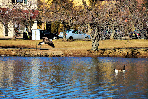 Park «Taylor Park», reviews and photos, 100 Main St, Millburn, NJ 07041, USA