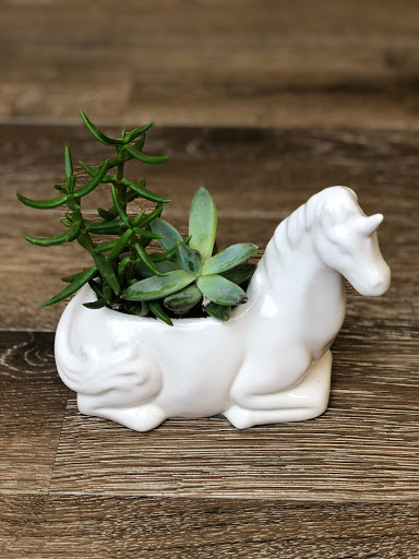 Florist «Ballard Blossom, Inc.», reviews and photos, 1766 NW Market St, Seattle, WA 98107, USA