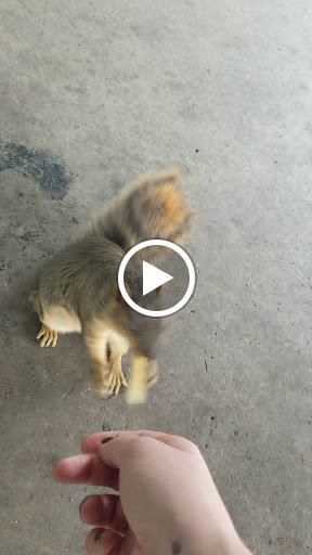 Park «Garfield Park», reviews and photos, 2505 Conservatory Dr, Indianapolis, IN 46203, USA