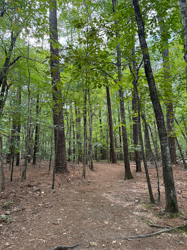 Sal’s Branch Trailhead