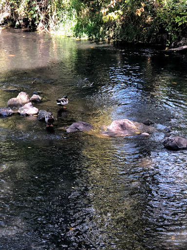 Community Center «Pringle Hall Community Center», reviews and photos, 606 Church St SE, Salem, OR 97301, USA