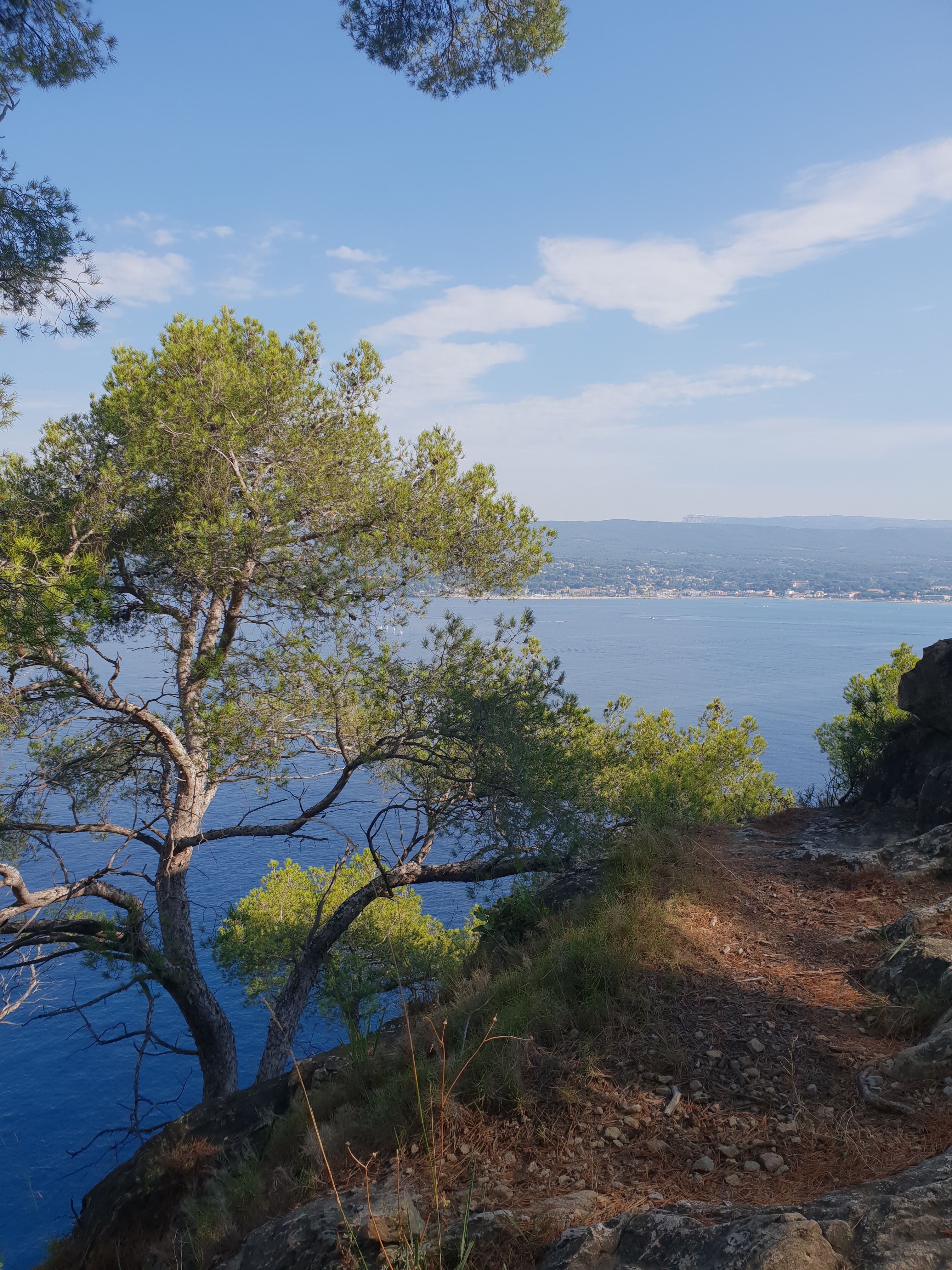 Photo n° 4 de l'avis de FREDO.r fait le 20/07/2018 à 12:42