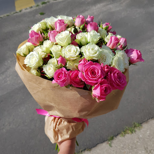 Escada Virágküldés / Flower Delivery