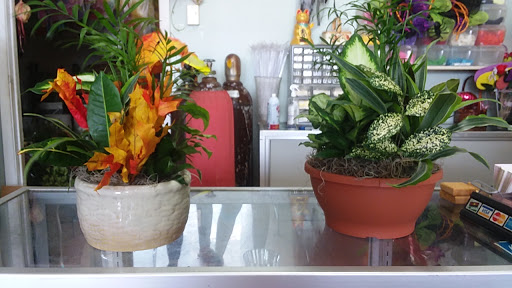 Florist «Send Your Love Flowers & Balloons», reviews and photos, 1417 SW Military Dr, San Antonio, TX 78221, USA