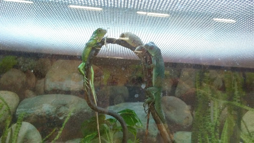 Pet Supply Store «Petco Animal Supplies», reviews and photos, 12765 Harper Village Dr #140, Battle Creek, MI 49014, USA