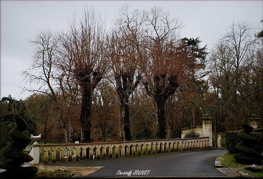 Photo n° 21 de l'avis de JOLIVET.h fait le 24/12/2019 à 05:41