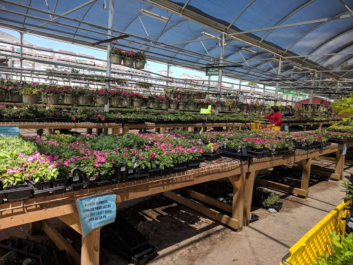 Lumber Store «Sutherlands», reviews and photos, 9503 E 21st St, Tulsa, OK 74129, USA