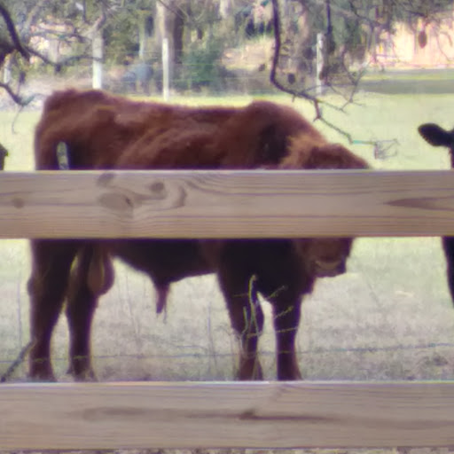 Park «Lithia Springs Park», reviews and photos, 3932 Lithia Springs Rd, Lithia, FL 33547, USA