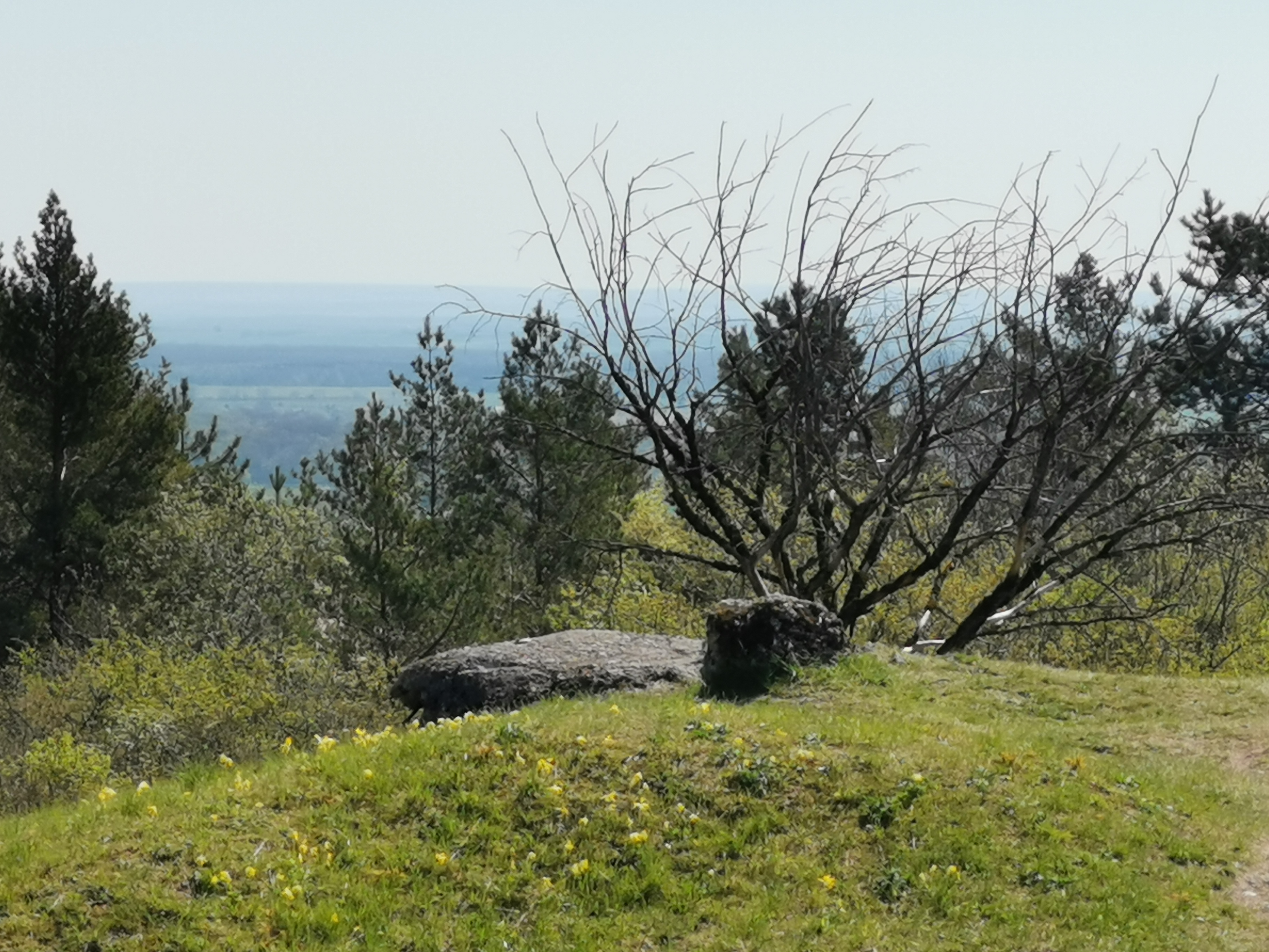 Photo n° 4 de l'avis de catherine.o fait le 22/04/2019 à 08:38