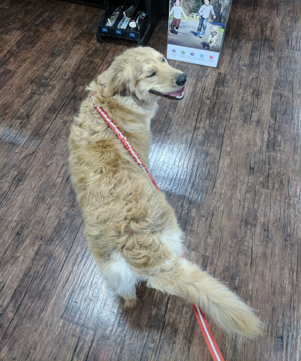 Pet Supply Store «Pet Valu», reviews and photos, 13828 E 14 Mile Rd, Warren, MI 48088, USA