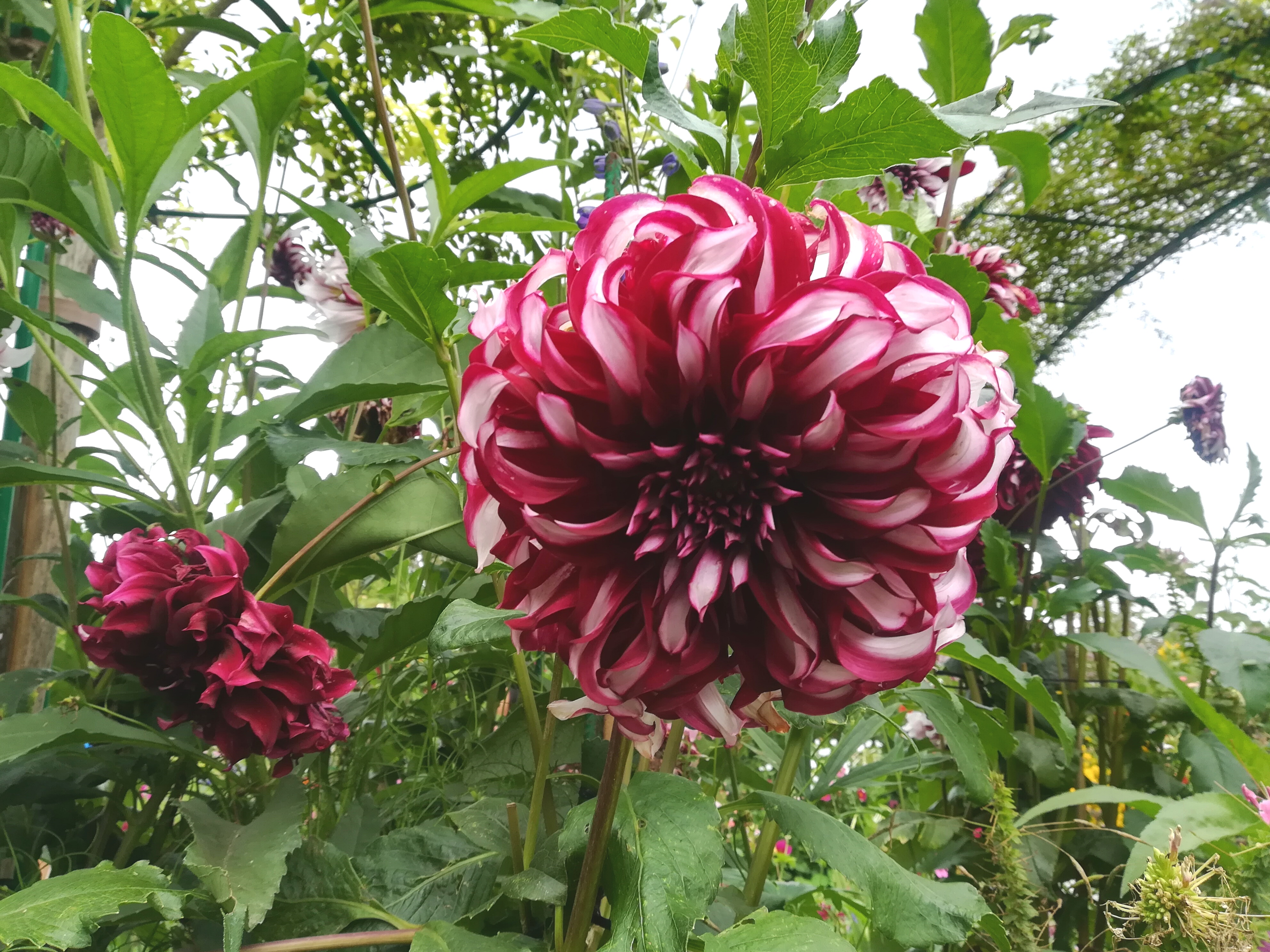 Photo n° 19 de l'avis de Au.r fait le 09/05/2022 à 10:38