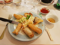 Rouleau de printemps du Restaurant chinois Le Palais d'Asie à Limoges - n°1