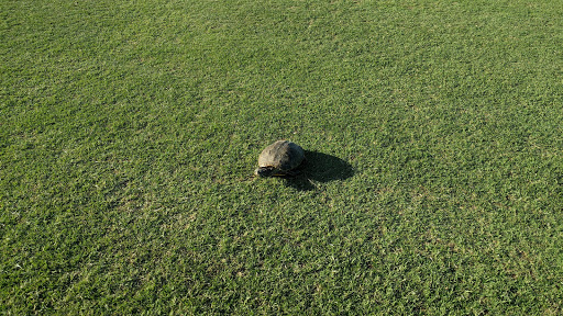 Golf Course «Western Skies Driving Range», reviews and photos, S 31st St, Gilbert, AZ 85296, USA