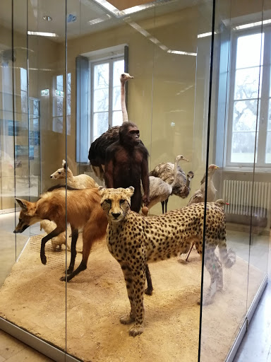 Naturkundemuseum Stuttgart, Schloss Rosenstein
