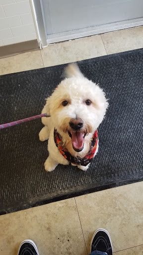 Pet Supply Store «Petco Animal Supplies», reviews and photos, 4820 South Baldwin Road #3B, Orion Township, MI 48359, USA