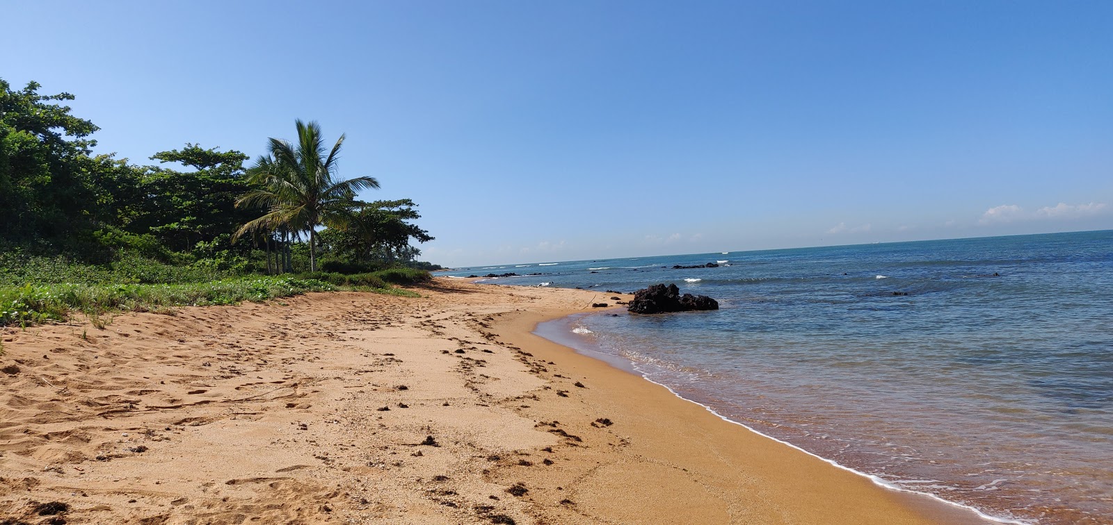 Photo de Plage des Padres et le règlement
