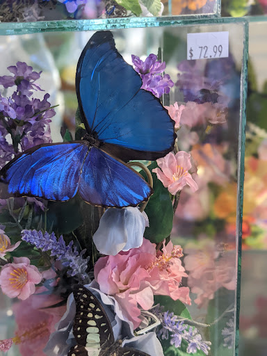 Florist «Garden Fantasy on Main», reviews and photos, 210 Main St, Belleville, MI 48111, USA
