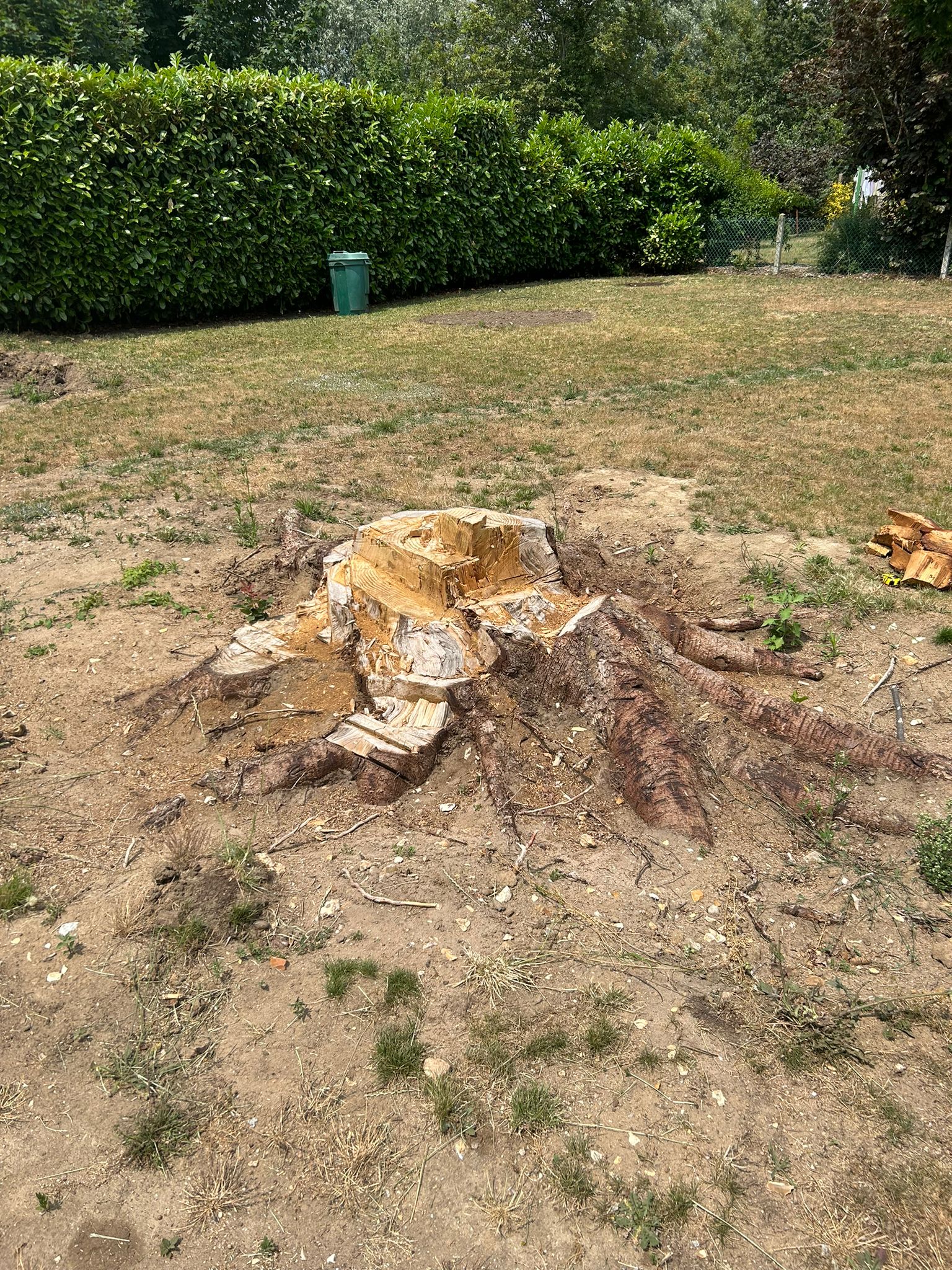 Photo n° 1 de l'avis de Sam.e fait le 29/06/2023 à 16:41