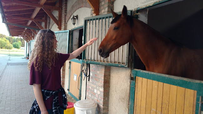 Pro Equus Lovaspark - Szálloda