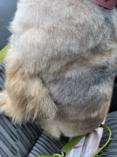 Pet Supply Store «PetSmart», reviews and photos, 14420 Farm to Market 2920, Tomball, TX 77377, USA