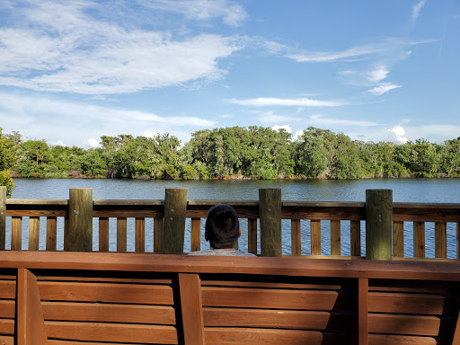 Park «Conservatory Park», reviews and photos, 8027 Conservatory Dr, Sarasota, FL 34243, USA