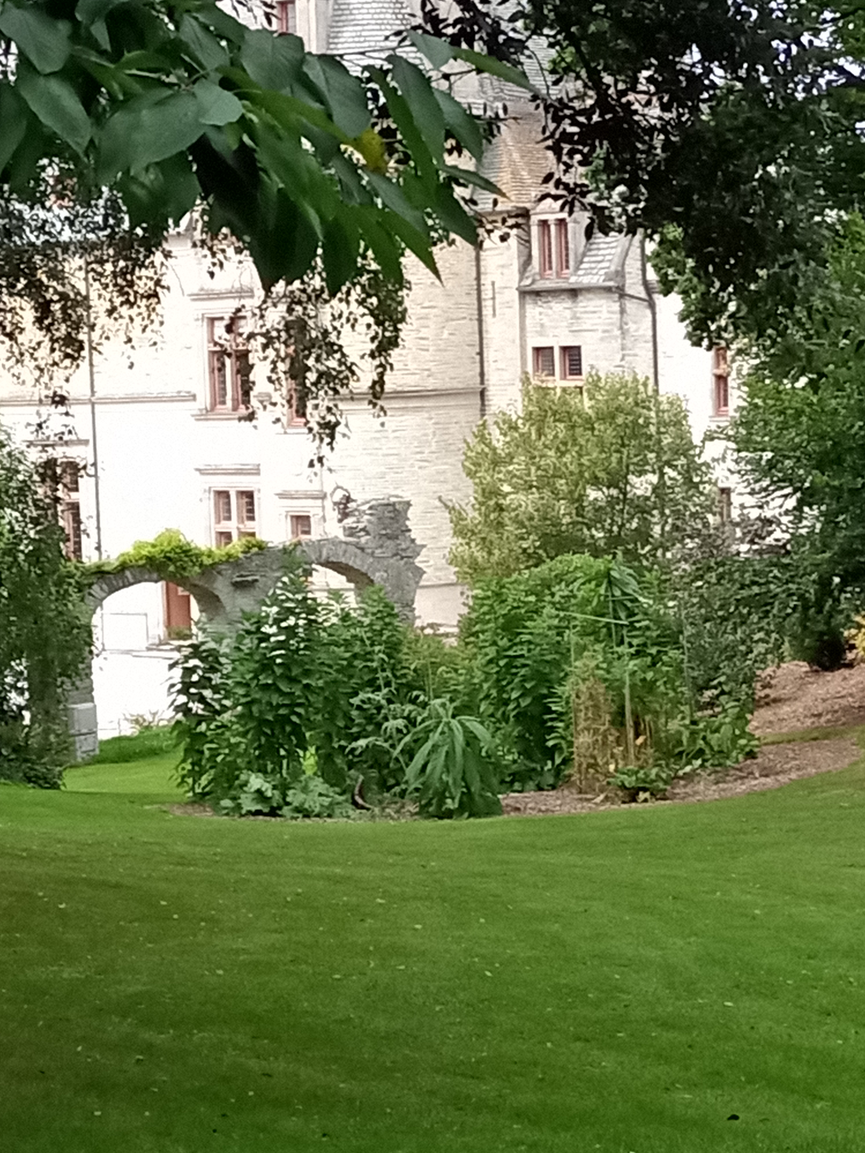Photo n° 15 de l'avis de Tycha.a fait le 26/08/2021 à 15:44