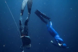 FreediveFNQ image