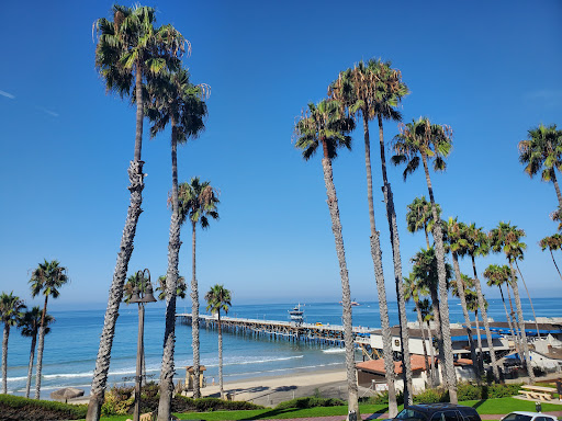 Sea Horse Resort image
