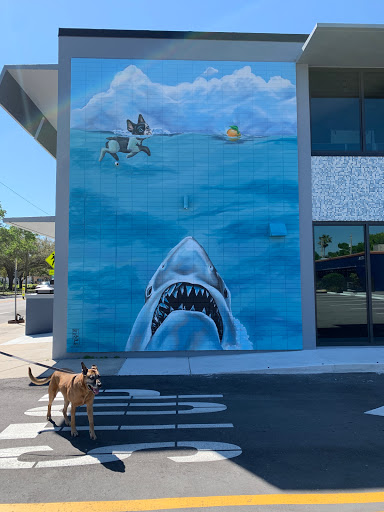 Financial Institution «BlueDog Business Services», reviews and photos