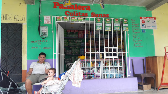 Opiniones de Pañalera "Colitas Sanas" en Vinces - Tienda para bebés