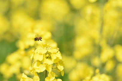 (有)下村ファーム