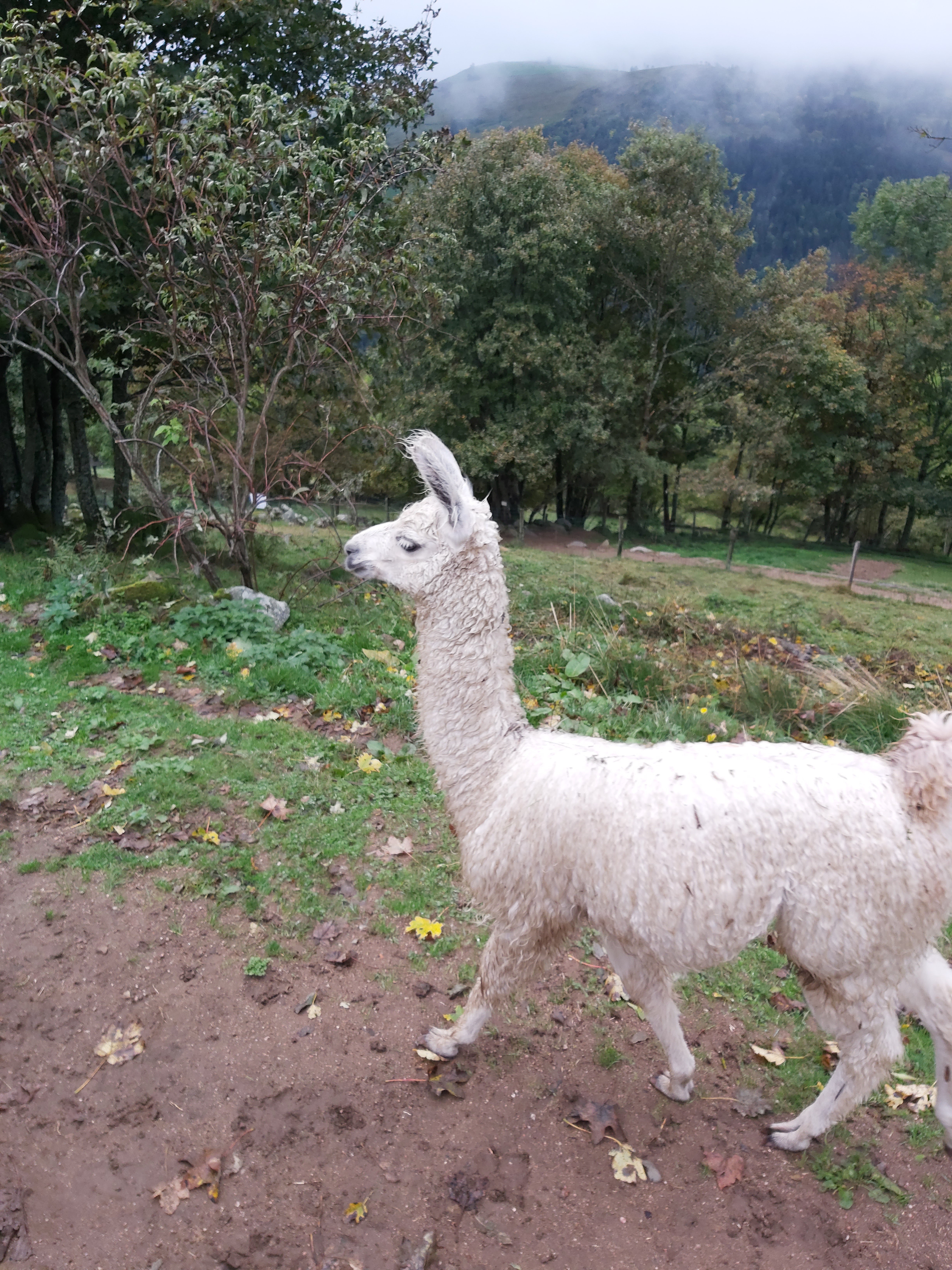 Photo n° 1 de l'avis de Mo.a fait le 06/10/2019 à 15:33