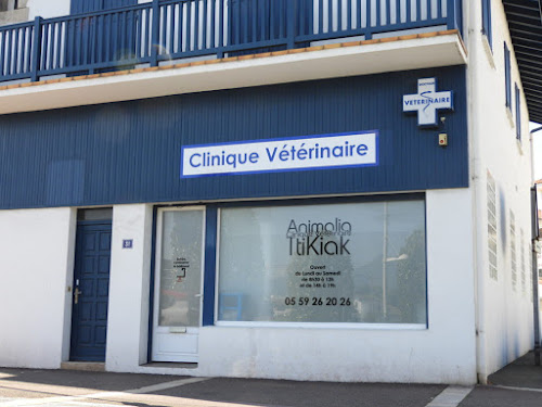 Clinique vétérinaire à Saint-Jean-de-Luz | Top 10