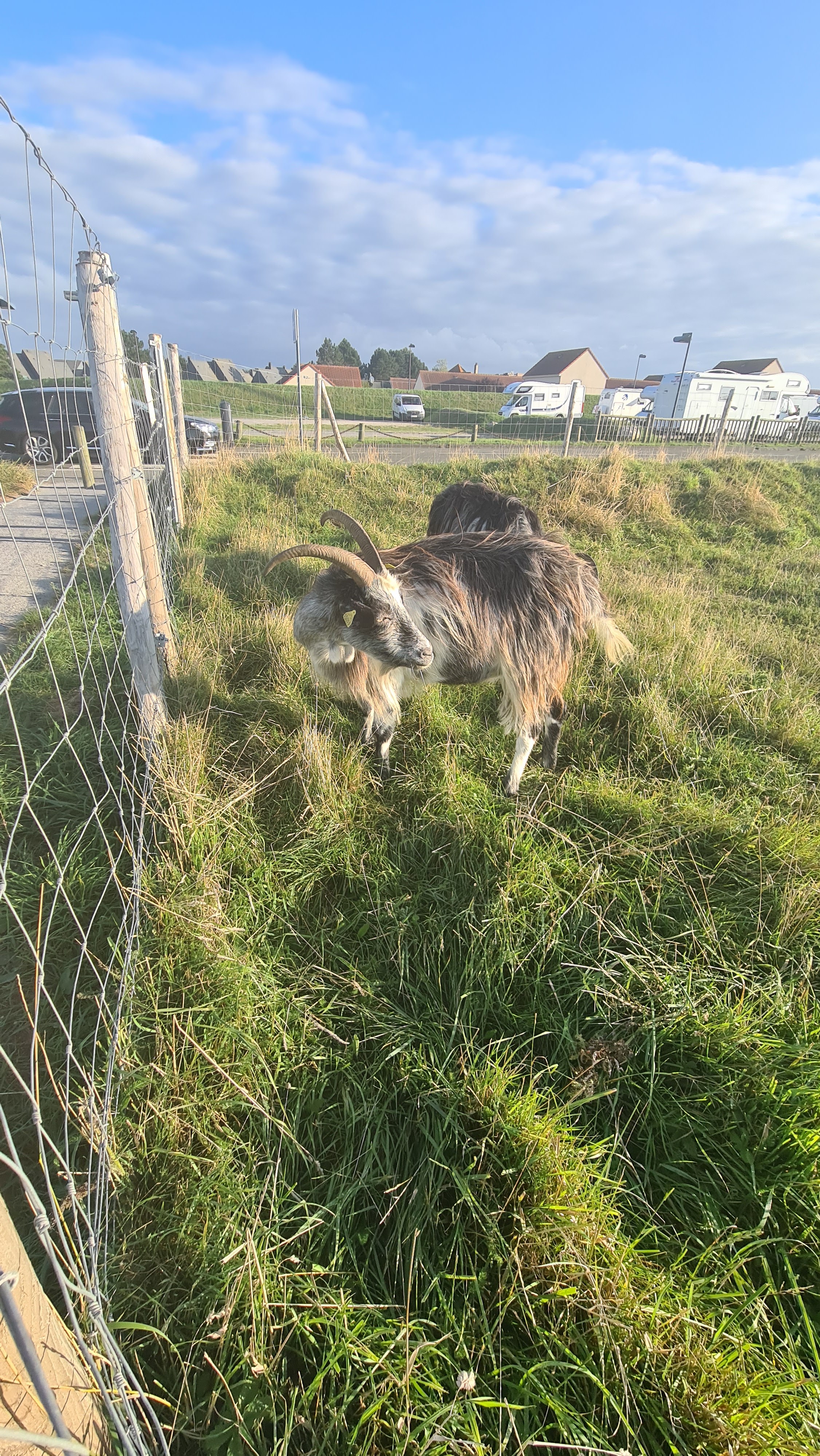 Photo n° 5 de l'avis de Stéphane.a fait le 29/08/2021 à 20:56