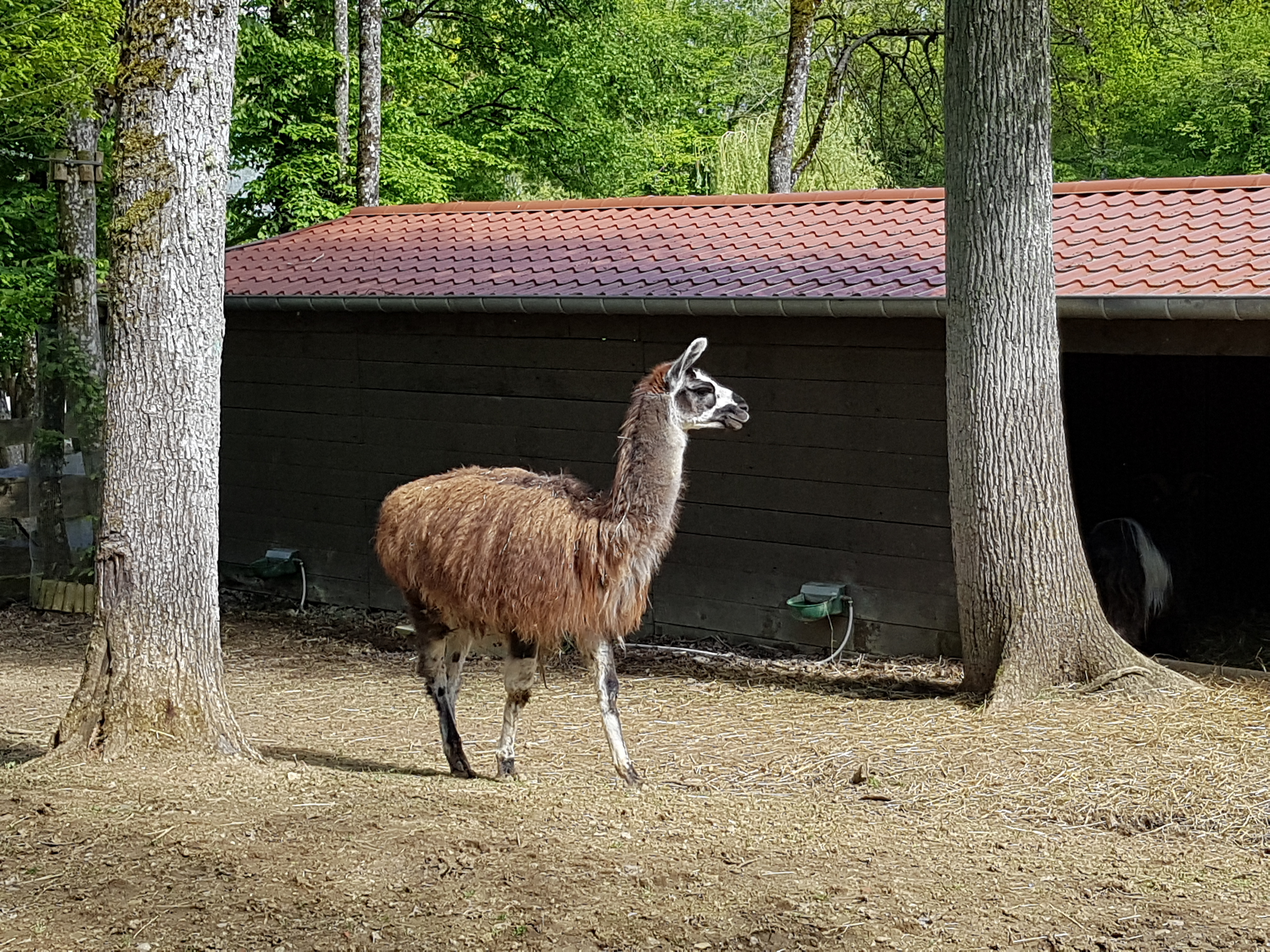 Photo n° 8 de l'avis de Paparazzi.x fait le 05/05/2019 à 20:31