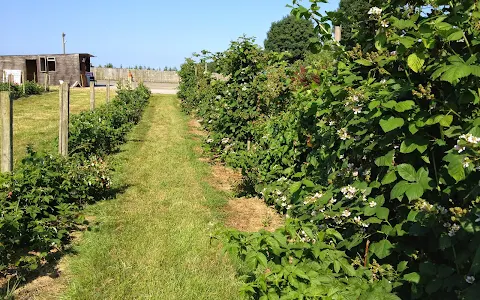 Peaks Top Farm image