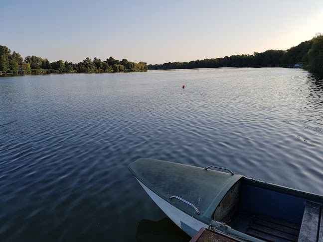 Dömsöd, Neptun 50, 2344 Magyarország