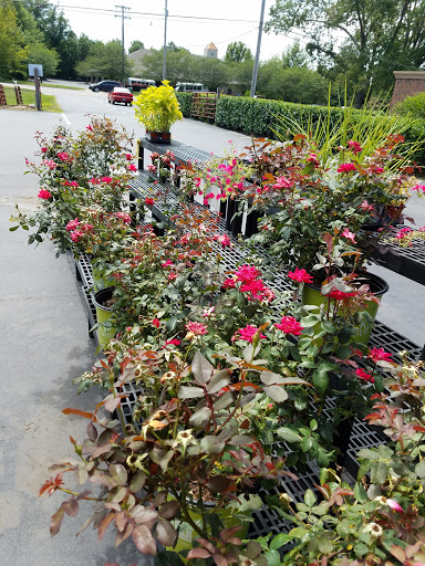 Hardware Store «Waxhaw Ace Hardware», reviews and photos, 3927 Providence Rd S, Waxhaw, NC 28173, USA